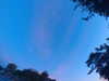20240613055100-G0018945.JPG