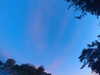 20240613055132-G0018953.JPG