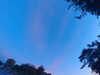 20240613055136-G0018954.JPG