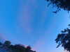 20240613055208-G0018962.JPG