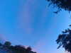 20240613055215-G0018964.JPG