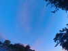 20240613055219-G0018965.JPG