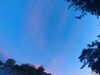20240613055227-G0018967.JPG
