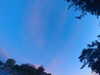 20240613055231-G0018968.JPG