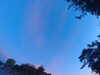 20240613055235-G0018969.JPG
