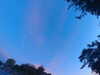 20240613055247-G0018972.JPG