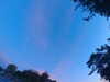 20240613055251-G0018973.JPG