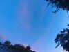 20240613055255-G0018974.JPG