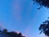 20240613055318-G0018980.JPG