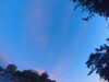 20240613055326-G0018982.JPG