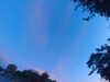 20240613055330-G0018983.JPG