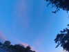 20240613055403-G0018991.JPG