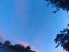 20240613055459-G0019005.JPG