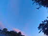 20240613055531-G0019013.JPG