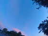20240613055539-G0019015.JPG