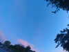 20240613055639-G0019030.JPG