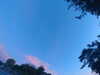 20240613055711-G0019038.JPG