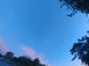 20240613055826-G0019057.JPG