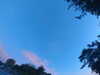20240613055849-G0019063.JPG