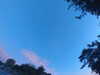 20240613055905-G0019067.JPG