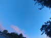 20240613055913-G0019069.JPG