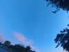20240613060003-G0019082.JPG