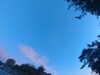 20240613060034-G0019090.JPG
