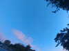20240613060054-G0019095.JPG