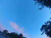 20240613060109-G0019099.JPG