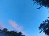 20240613060117-G0019101.JPG