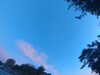 20240613060136-G0019106.JPG