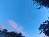20240613060140-G0019107.JPG