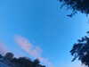 20240613060147-G0019109.JPG