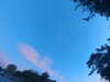 20240613060151-G0019110.JPG