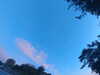 20240613060206-G0019114.JPG
