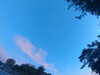 20240613060244-G0019124.JPG