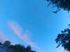 20240613060403-G0019145.JPG