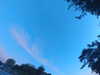 20240613060511-G0019163.JPG