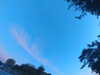 20240613060518-G0019165.JPG