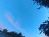 20240613060533-G0019169.JPG