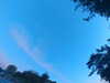 20240613060548-G0019173.JPG