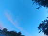 20240613060555-G0019175.JPG