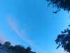 20240613060559-G0019176.JPG
