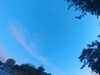 20240613060603-G0019177.JPG