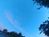 20240613060606-G0019178.JPG