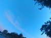 20240613060610-G0019179.JPG