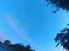 20240613060614-G0019180.JPG