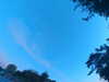 20240613060632-G0019185.JPG