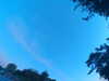 20240613060651-G0019190.JPG