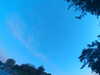 20240613060709-G0019195.JPG
